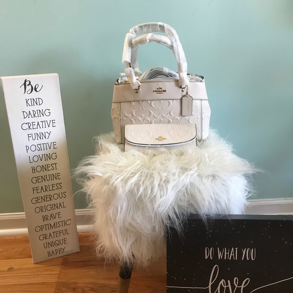 COACH Mini Brooke Handbag